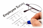 Employee Surveys within Small Businesses: Improve Your Staff’s Morale and Productivity